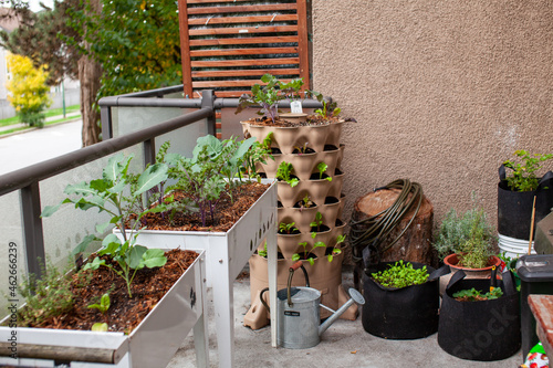 A vertical garden sits on an apartment balcony (patio) with other standing planters and containers with fall plants. Growing vertically is perfect for small spaces and urban gardening. photo