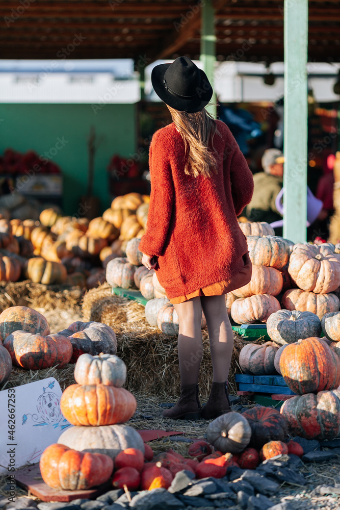 Back view of unrecognizable woman in brown cardigan and black hat on farmers market among stack of different orange pumpkins. Cozy autumn vibes Halloween, Thanksgiving day