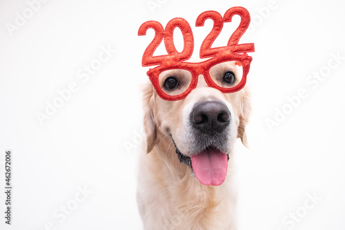 Foto Dog wearing glasses 2022 for the new year
