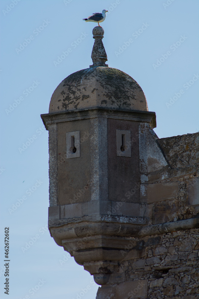 Seagull On Top of a Defensive Wall