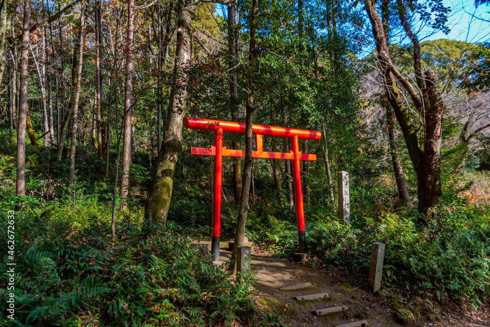 小牧山 吉五郎稲荷鳥居と参道
小牧山城登城道途中 小牧山 吉五郎稲荷鳥居と参道
小牧山城登城道途中