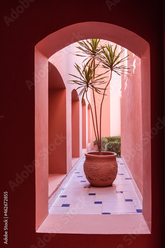A palm tree in a ceramic pot decorates a roofless passage in a building with terracotta walls photo