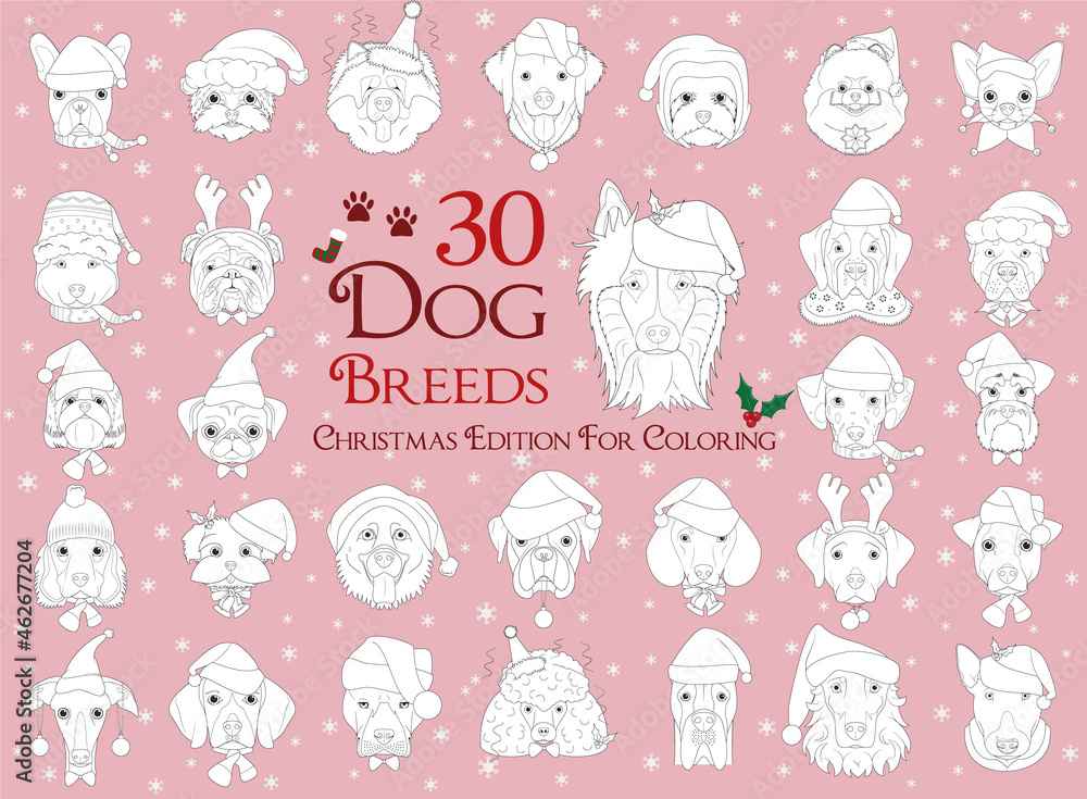 Set of 30 dog breeds for coloring with Christmas and winter themes