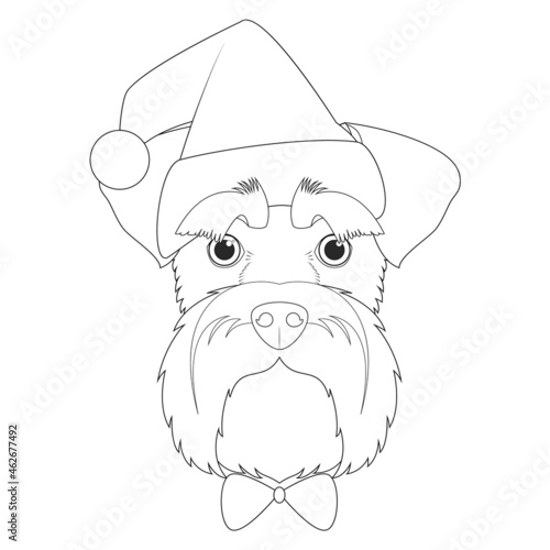 Christmas greeting card for coloring. Schnauzer dog with Santa's hat
