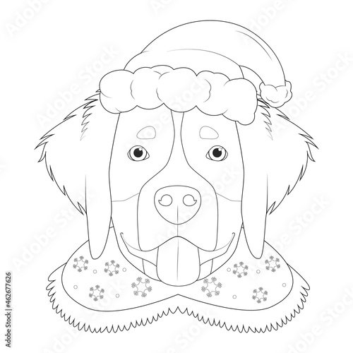 Christmas greeting card for coloring. Bernese Mountain dog with Santa's hat