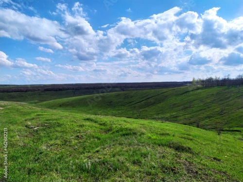 landscape with grass and sky