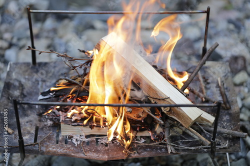 burning firewood in the forest