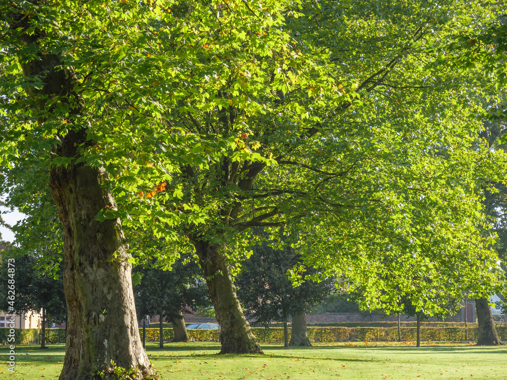 Naklejka premium Herbst am Schloß Im Münsterland