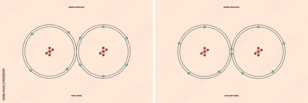 Naklejka premium Conceptual vector representation of a boron molecule, made up of two atoms, and the types of chemical bonds: covalent, atoms sharing electrons, and ionic, an atom gives an electron to another atom.
