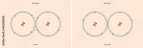 Conceptual vector representation of a boron molecule, made up of two atoms, and the types of chemical bonds: covalent, atoms sharing electrons, and ionic, an atom gives an electron to another atom. 