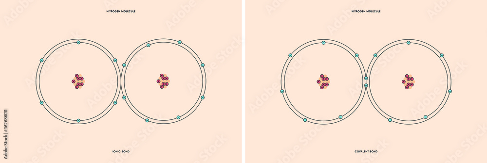 Naklejka premium Conceptual vector representation of a nitrogen molecule, made up of two atoms, and the types of chemical bonds: covalent, atoms sharing electrons, and ionic, an atom gives an electron to another atom.