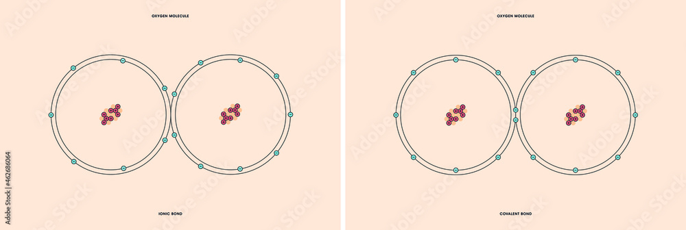 Naklejka premium Conceptual vector representation of a oxygen molecule, made up of two atoms, and the types of chemical bonds: covalent, atoms sharing electrons, and ionic, an atom gives an electron to another atom.