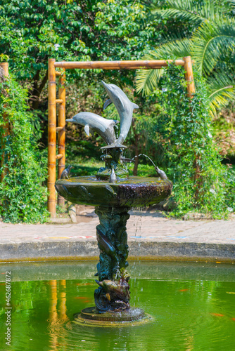fountain with dolphins in Batumi Botanical Garden