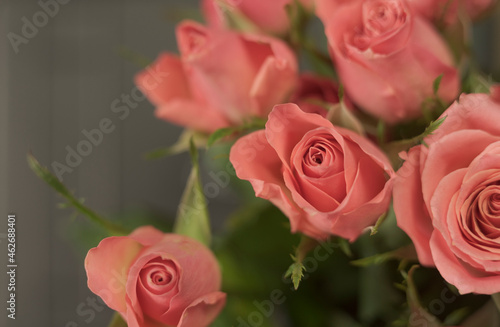 Bouquet of pink roses on a dark background. macro