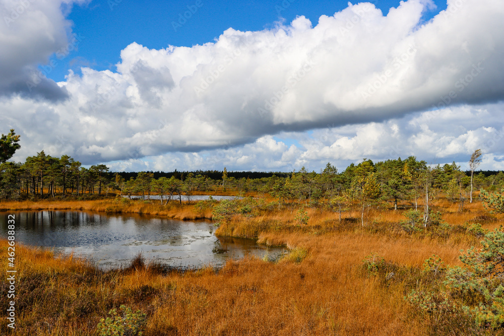 Natural landscape with bog lakes and beautiful cloudy skies