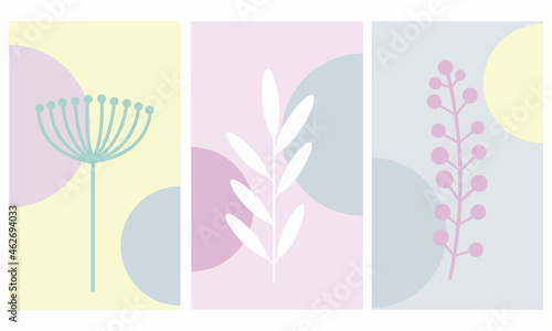 Vector set of packaging, floral design templates with copy space for text for cosmetics, beauty products, organic and healthy food.