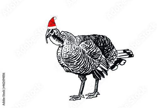 Graphical turkey in Santa Claus hat isolated on white background, new year element