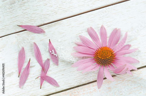 Purple coneflower and glass tube of globules on white wood photo