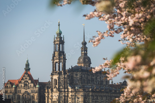 Germany, Saxony, Dresden, Dresden Cathedral and almond blossoms photo