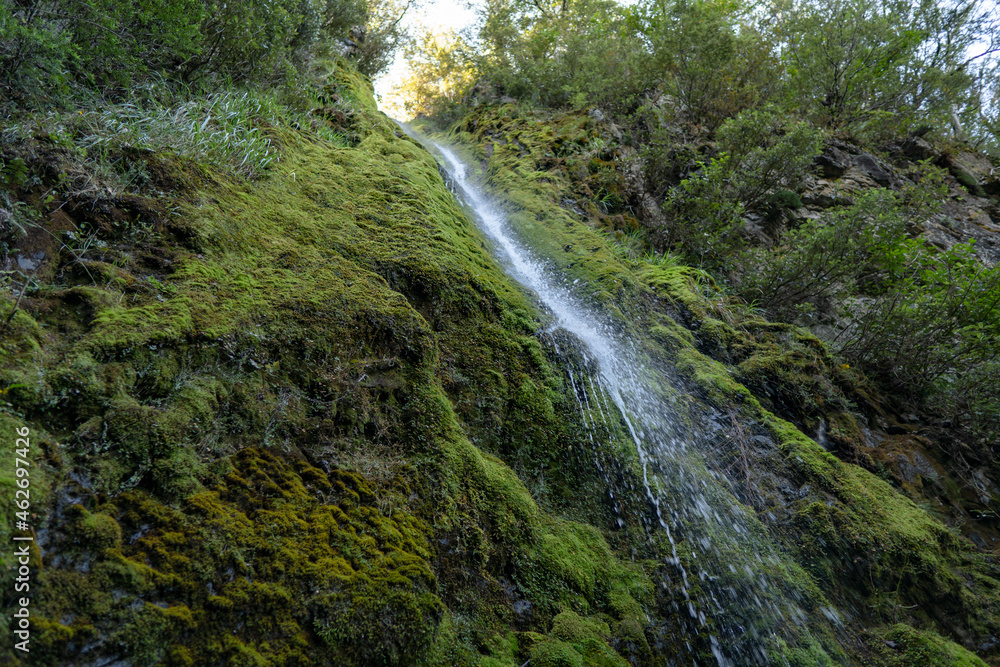 Dog Stream Waterfall near Hanmer Springs, New Zealand Dog Stream Waterfall near Hanmer Springs, New Zealand
