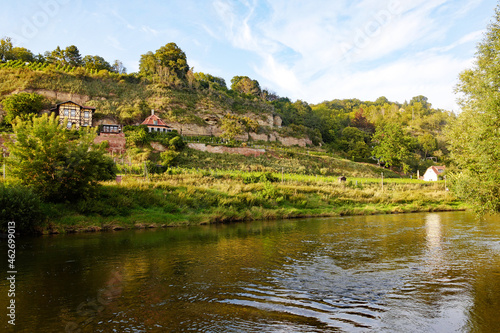 Weinberge an der Saale bei Naumburg