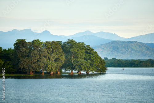 View to penisula at Udawalawe Reservoir, Udawalawa National Park, Sri Lanka photo