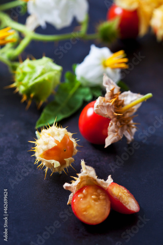 Sticky nightshade tomatoes on dark ground photo