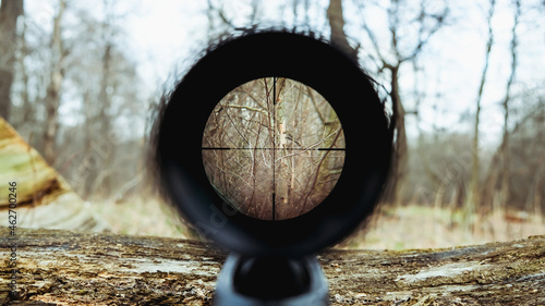 Sniper gun scope view. Hunting in the forest.