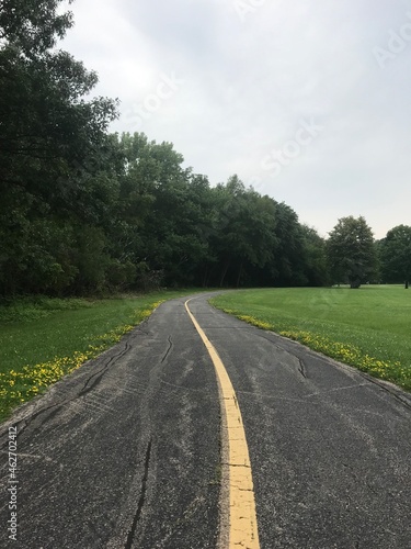 road in the forest