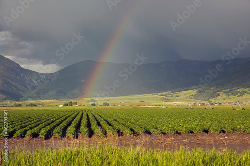 Rainbow over fertile Gallatin Valley in Belgrade, Montana