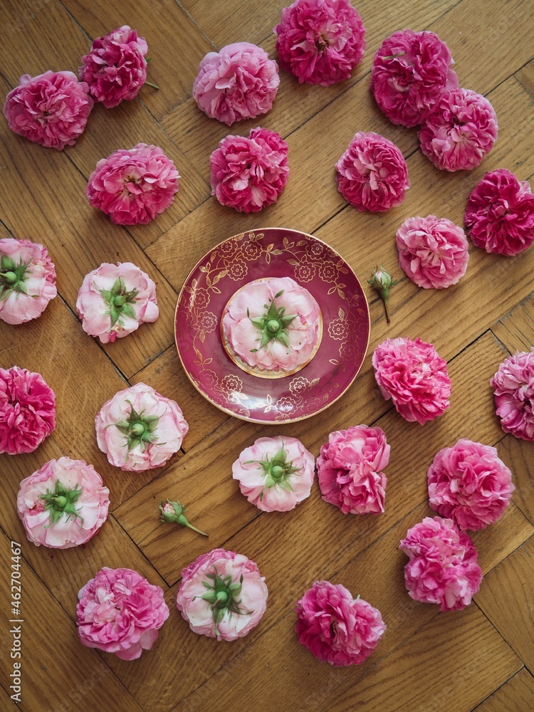 pink roses on a vintage china plate 