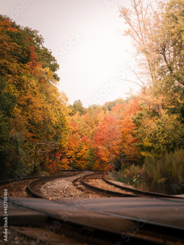 railway in autumn. with beautiful fall colors. 