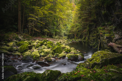 Beautiful natural landscape in Bavarian forest with greenery and River Wolfensteiner Ohe in Germany photo