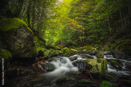 Beautiful natural landscape in Bavarian forest with greenery and River Wolfensteiner Ohe in Germany photo