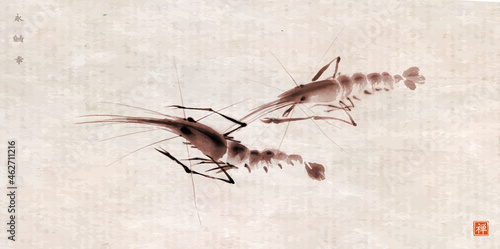Ink painting of two ocean shrimps on vintage rice paper background. Traditional oriental ink painting sumi-e, u-sin, go-hua. Hieroglyphs - eternity, freedom, happiness, zen