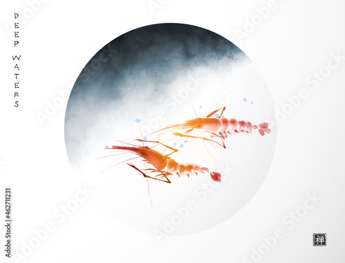 Ink painting of two ocean shrimps in circle. Traditional oriental ink painting sumi-e, u-sin, go-hua. Translation of hieroglyph - zen