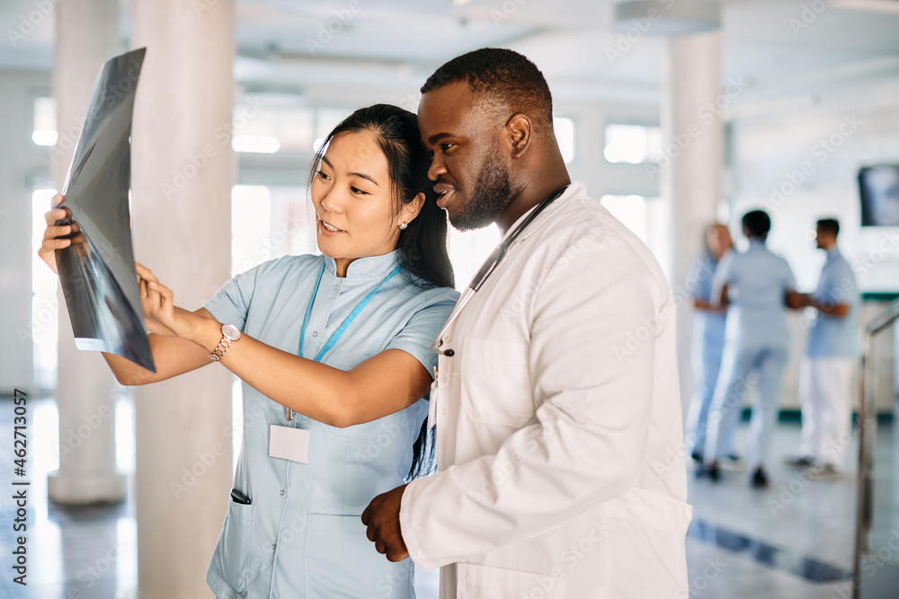 Fototapeta premium Two medical students examine X-ray scan while being on internship at university hospital.