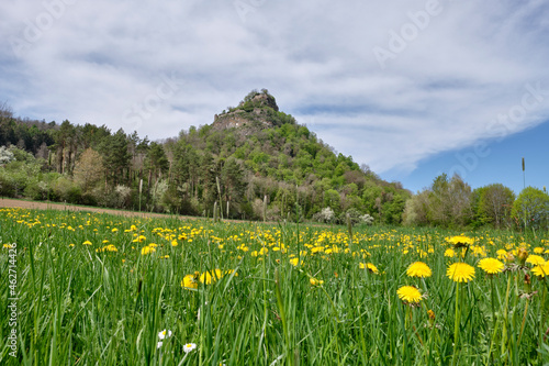 Germany, Baden-Wuerttemberg, Constance district, Hohenkraehen behind dandelion in Hegau volcanic landscape photo