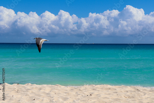 Cancun Beach