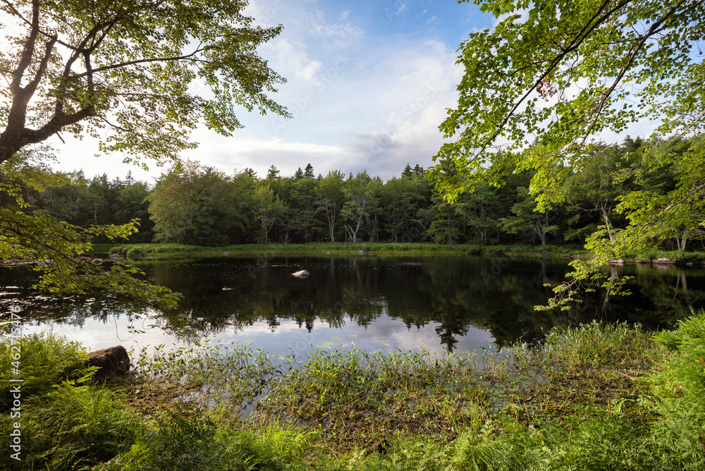Canada, Annapolis County, Landscape with Mersey River Canada, Annapolis County, Landscape with Mersey River