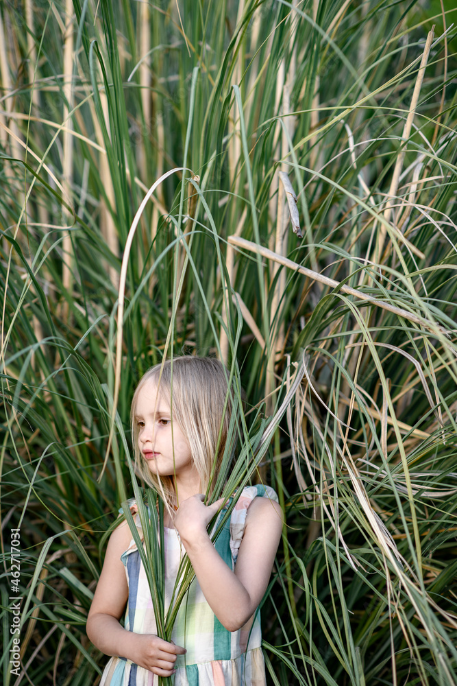 Portrait of blond little girl in front of Pampas grass Portrait of blond little girl in front of Pampas grass