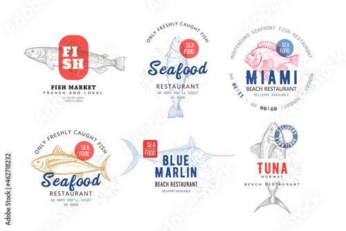 Vector marine logo templates for sea food restaurant. Hand drawn illustration of salmon, trout, tuna, carp, blue marlin fish.