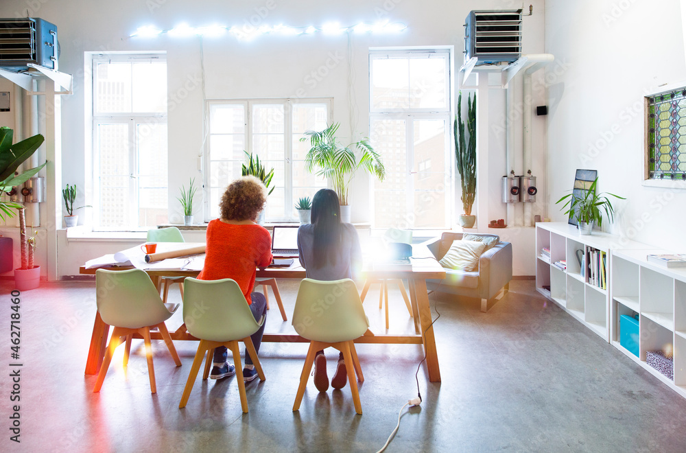 Rear view of two women working in modern office with video projector on table Rear view of two women working in modern office with video projector on table