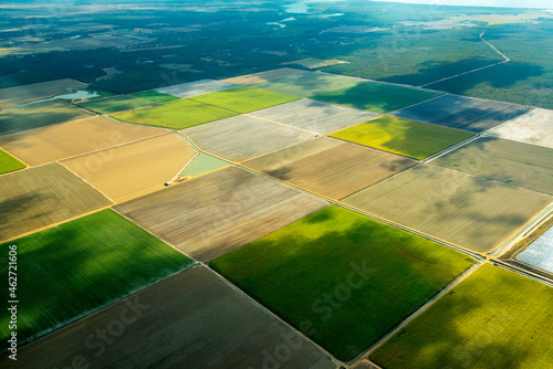 Aerial view of green fields cultivated in Queensland, Australia