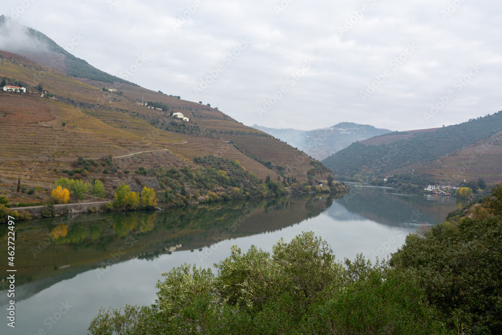 View on Douro river with reflection in water of colorful hilly stair step terraced vineyards in autumn, wine making industry in Portugal