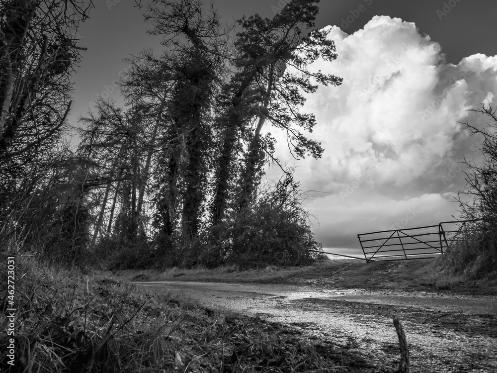 English country lane in winter with dramatic clouds,Hampshire,England,UK.