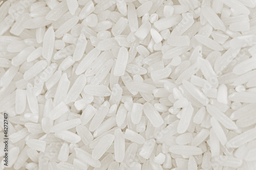 a closeup look of the pile of rice grain. a white rice texture for a nature background. a simple shoot of goods for elements.