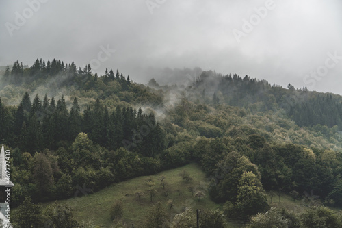 Stunning view of forest mountains lost in the fog on a gloomy day, horizontal wallpaper