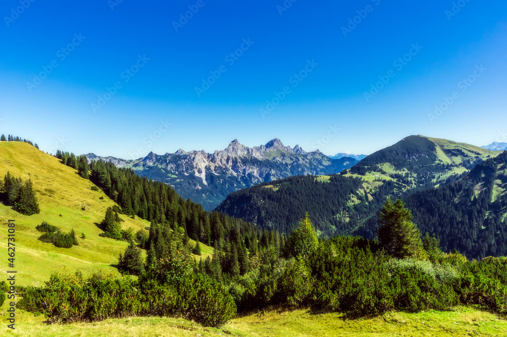 Scenic view of clear blue sky over forested valley in Tannheim Mountains Scenic view of clear blue sky over forested valley in Tannheim Mountains