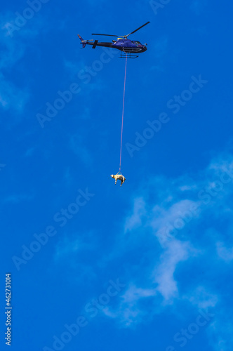 Helicopter transporting cow against blue sky